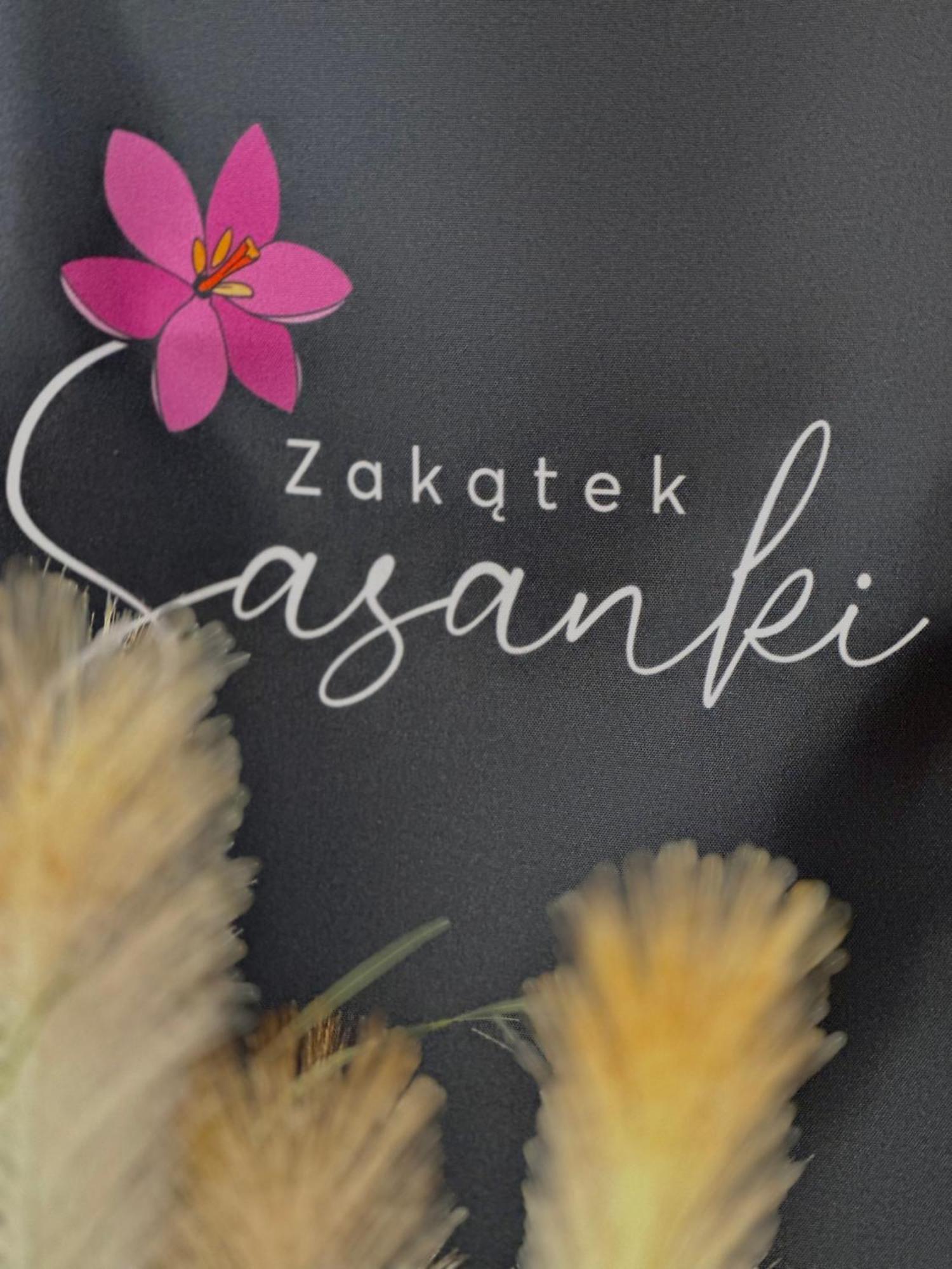 Zakatek Sasanki Villa Lubiatowo  Kültér fotó